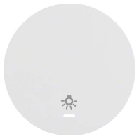 Cover plate for switch/push button white 16212079