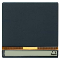 Cover plate for switch/push button 16286076
