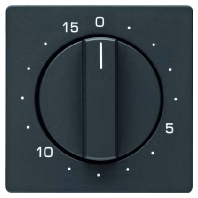 Cover plate for time switch anthracite 16326086