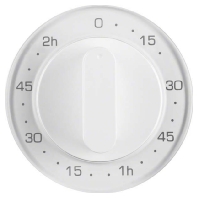 Cover plate for time switch white 16332089