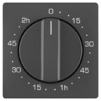 Cover plate for time switch anthracite 16336086