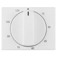 Cover plate for time switch white 16350069
