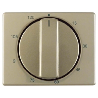 Cover plate for time switch bronze 16350101