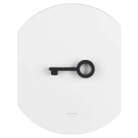 Cover plate for switch/push button white 16512069