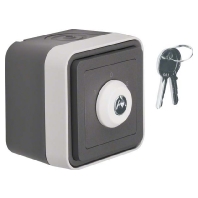 1-pole switch for roller shutter grey 32723515