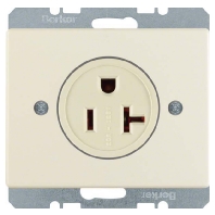 Socket outlet (receptacle) NEMA white 41690002