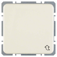 Socket outlet (receptacle) NEMA white 4203