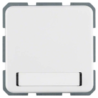 Socket outlet (receptacle) 471909