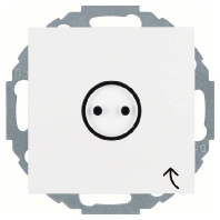 Schuko-Steckdose pws Symbol Steckdose 47441949