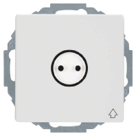 Socket outlet (receptacle) 47446049
