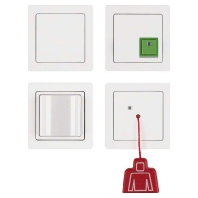 Switching device for handicapped people 52006089