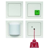 Switching device for handicapped people 52006099