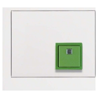 Switching device for handicapped people 52017009