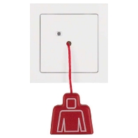 Switching device for handicapped people 52026099