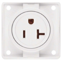 Socket outlet (receptacle) NEMA white 862542509