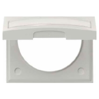 Frame 1-gang white 919882502
