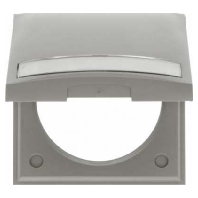 Frame 1-gang grey 919882506