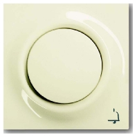 Cover plate for switch/push button 1789 KI-72