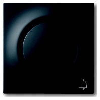 Cover plate for switch/push button black 1789 KI-775