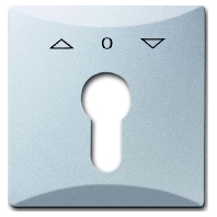 Cover plate for switch aluminium 2155 PZ-33