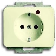 Socket outlet (receptacle) 2310EUGL/VA-22G-11