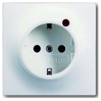 Socket outlet (receptacle) 2310EUGL/VA-774-11