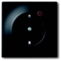 Socket outlet (receptacle) 2310EUGL/VA-775-11