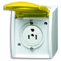 Socket outlet (receptacle) NEMA yellow 3015 EWN-54
