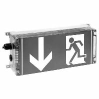 Ex-proof emergency/security luminaire 12191020003