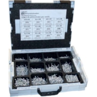 L-Boxx mit JDPlus und Senkkopf Kreuzschlitz 4499/000/06 8438