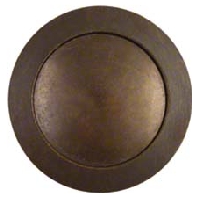 Klingeltaster messing brn. ESK-252ALB RT EB mes