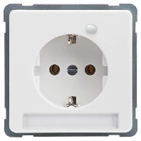 Socket outlet (receptacle) 215174