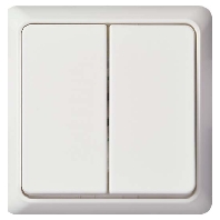Series switch flush mounted white 242514