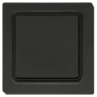 Remote control for switching device F2T55E-am