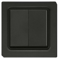 Remote control for switching device F4T55EB-am