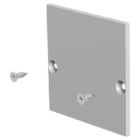 End cap for luminaires APRU44EAP