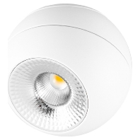 Downlight/spot/floodlight ASA20100102
