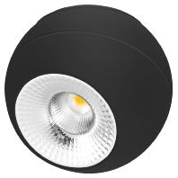 Downlight/spot/floodlight ASA20100902