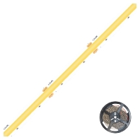 COB LED-Stripe 5m 4000K C20242401040