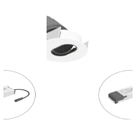Downlight/spot/floodlight F08RXXXM1340L55P