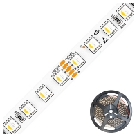 LED-Stripe IP20 5m 4000K IC2048420509940