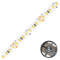 LED-Stripe IP20 5m 4000K IC2048802840