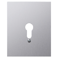 Abdeckung o.Symbol AP-WG 009830