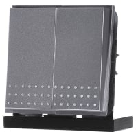 Tast-Serienschalter alu TX44 012565