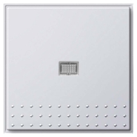 Rocker for domestic switch device 091466