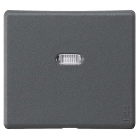 Rocker for domestic switch device 091630
