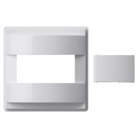 Cover for domestic switch device 147066