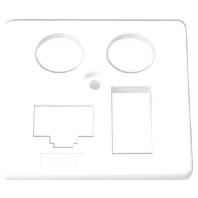HW-ZP EK4 LAN/TAE Zentral. 50mm rws HAXHSE-G0401-C024