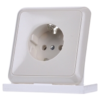 Socket outlet (receptacle) 5520