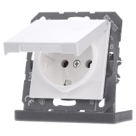 Socket outlet (receptacle) A 1520 BF KL WW